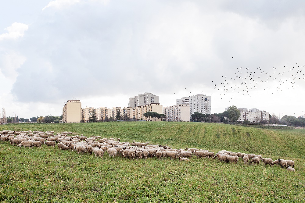 Indagine ai limiti di una città