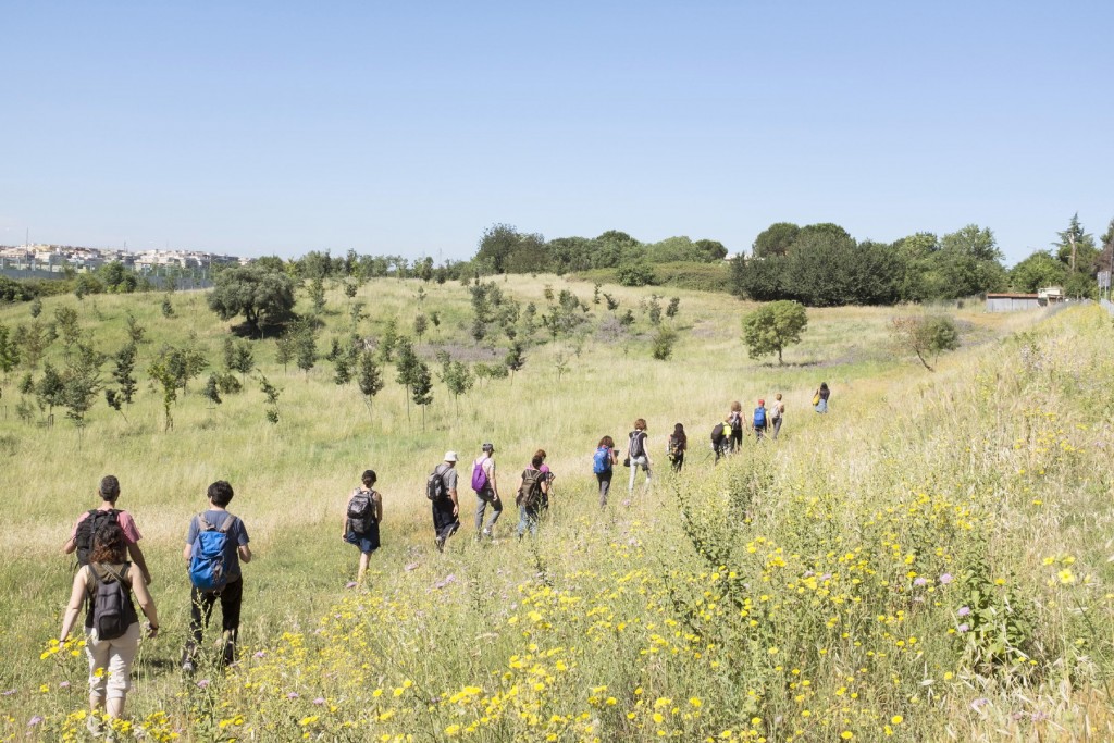 Around the walk _ Ilaria Di Biagio _ Fotoleggendo Walk 2016 _ 05